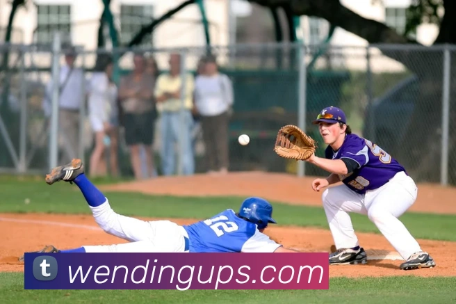 问鼎娱乐平台生态图