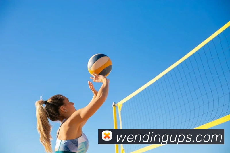 问鼎娱乐APP 封面图